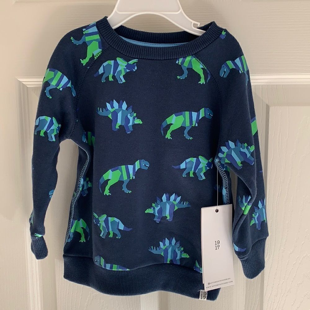 Sovereign Code Kids Dino sweater